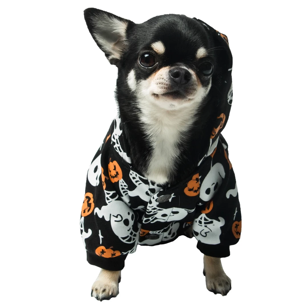 KILLSTAR HAUNTED PUMPKIN PET HOODIE