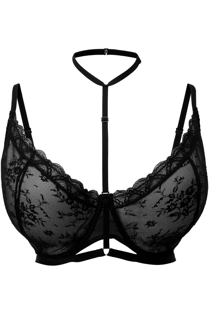KILLSTAR SHEER EVIL BRA BLACK