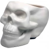 None Homewares BONE SKULL PLANTER