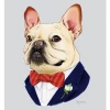 None BERKLEY FRENCH BULLDOG 5X7 PRINT