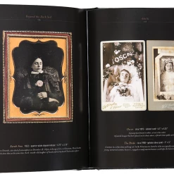 None BEYOND THE DARK VEIL BOOK Lifestyle