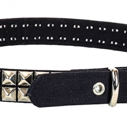 Funk Plus 2 ROW PYRAMID CANVAS BELT