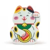 None What's New FELINE LUCKY KITCHEN SPONGE