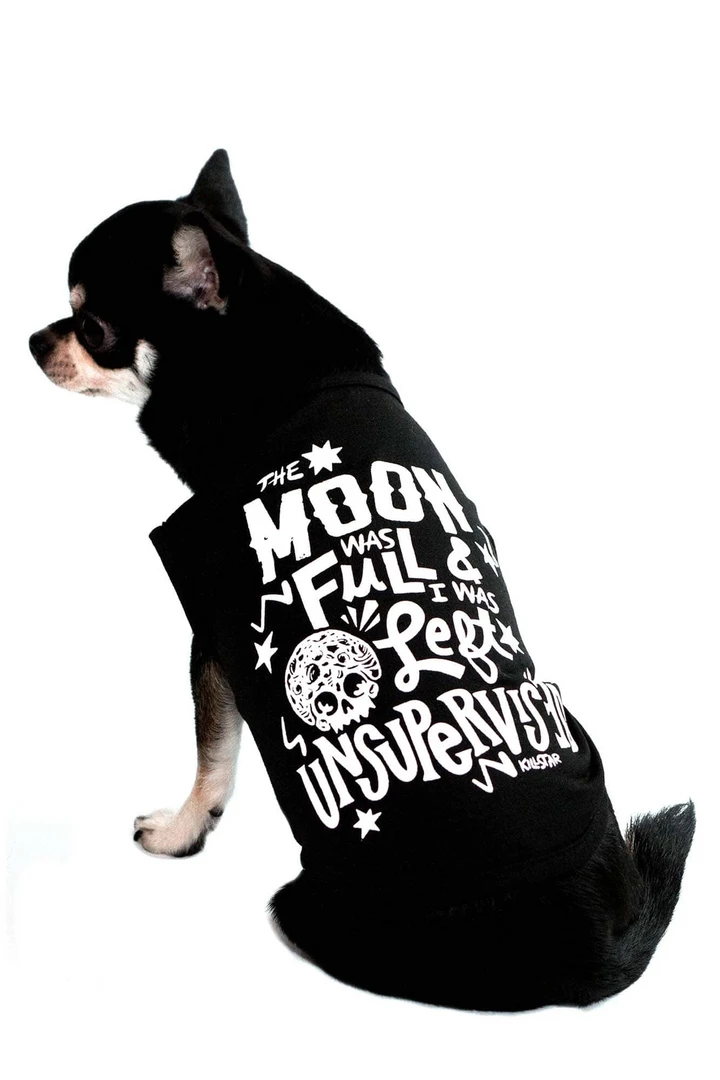 KILLSTAR FULL MOON PET SHIRT Lifestyle