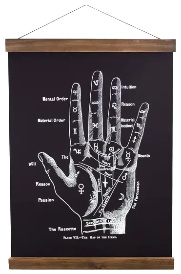 Homewares CURIOUS PRINTS VINTAGE PALMISTRY CHART CANVAS WALL HANGING PRINT