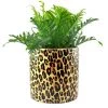 SOURPUSS LEOPARD PLANT CONTAINER Haunted Homewares