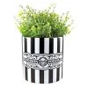 SOURPUSS POISON PLANT CONTAINER