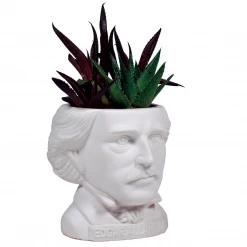 None EDGAR ALLAN POE PLANTER Back In Stock
