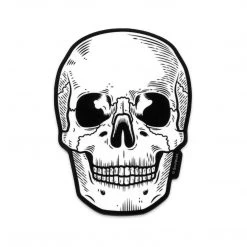 Shop Sourpuss SOURPUSS ANATOMICAL SKULL STICKER