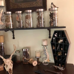 SOURPUSS COFFIN CURIO SHELF