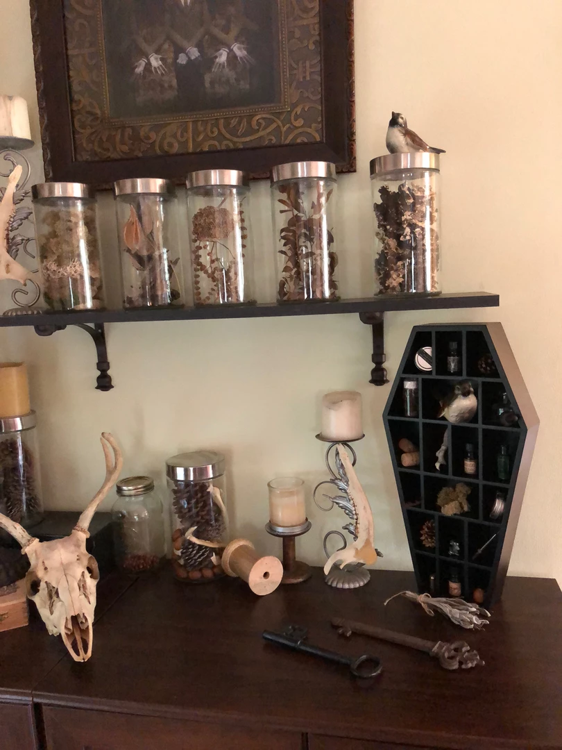 SOURPUSS COFFIN CURIO SHELF