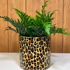 SOURPUSS LEOPARD PLANT CONTAINER Haunted Homewares