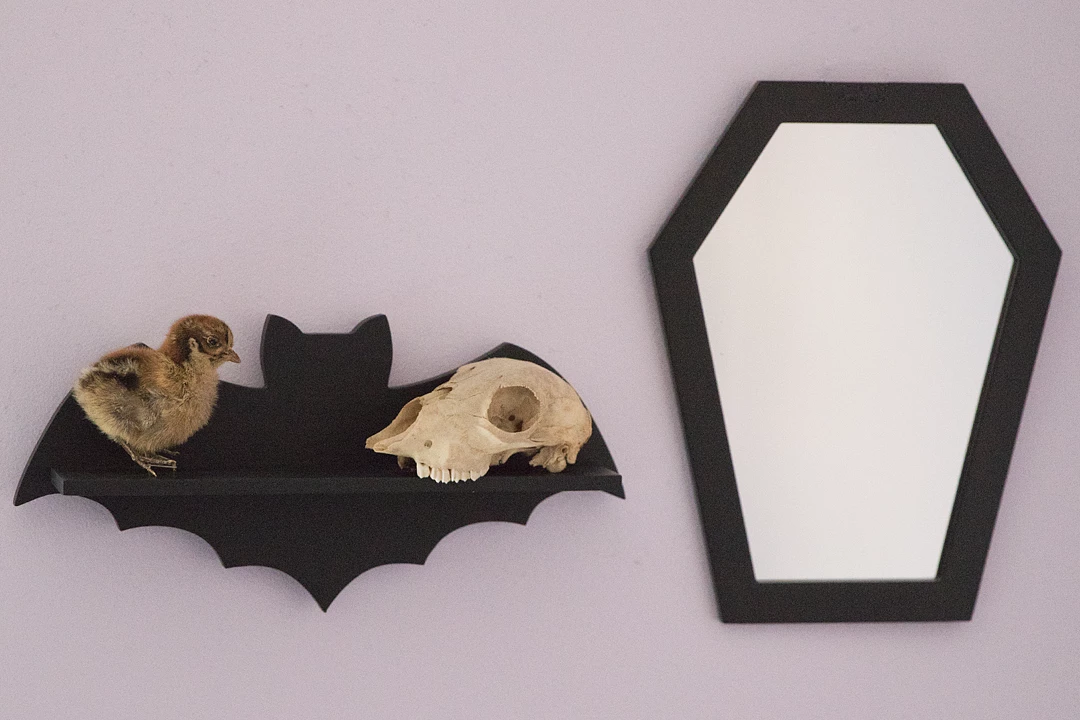 Haunted Homewares SOURPUSS COFFIN MIRROR BLACK