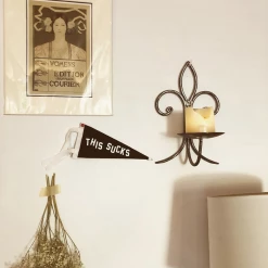 OXFORD PENNANT THIS SUCKS MINI PENNANT