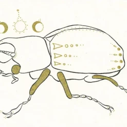 Bees Knees Industries Homewares BEE'S KNEES INDUSTRIES FANTASTICAL UNICORN BEETLE ART MINI PRINT