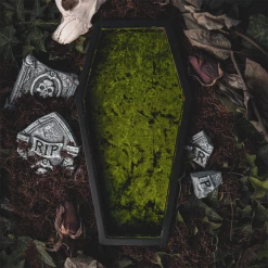 What's New LIVELY GHOSTS VELVET COFFIN TRINKET TRAY GREEN