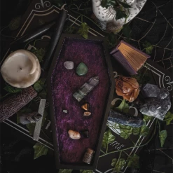 What's New LIVELY GHOSTS VELVET COFFIN TRINKET TRAY PURPLE