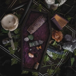 What's New LIVELY GHOSTS VELVET COFFIN TRINKET TRAY PURPLE