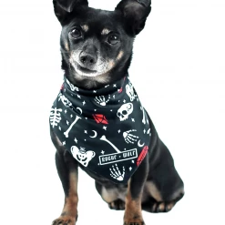 ROGUE + WOLF YOU CAN'T DIG WITH US PET BANDANA